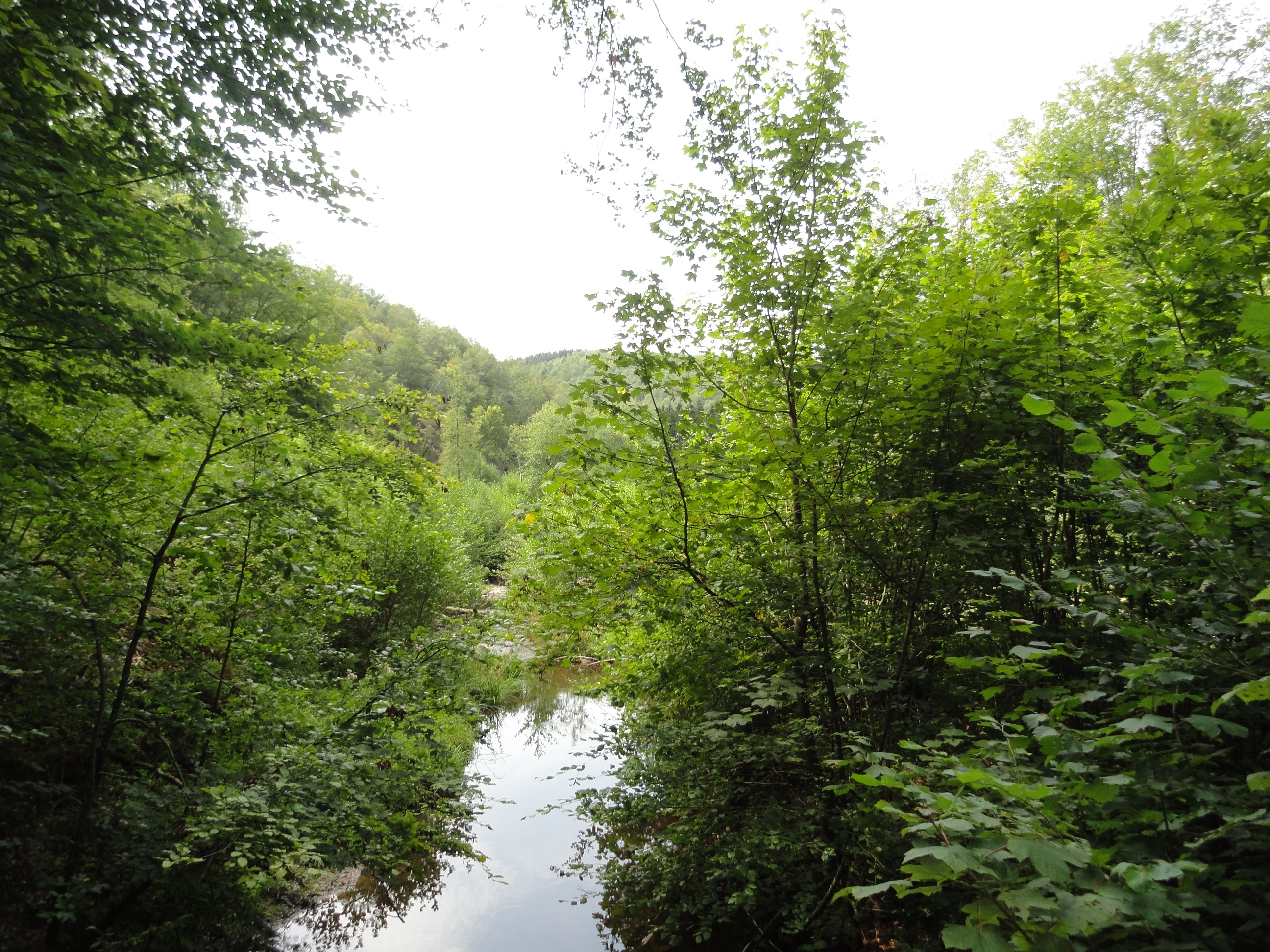 PONT DE REBAIS